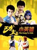 《功夫小英雄》：谁说功夫只能打打杀杀？看花落花开的温情武侠，笑中带泪！