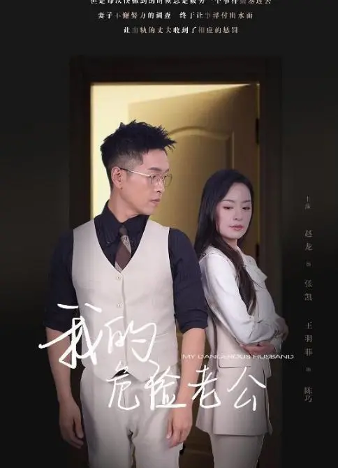 《新我的危险老公》：颠覆想象的惊悚反转，当爱情化为致命的迷局